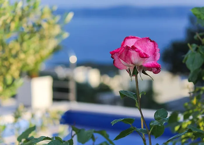 Levanda Makarska
